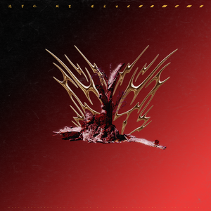 迪丽热巴裸被❌网站
