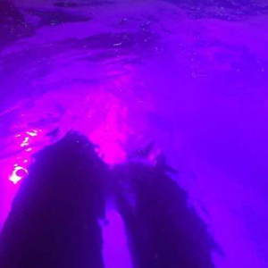 迪丽热巴裸被❌网站
